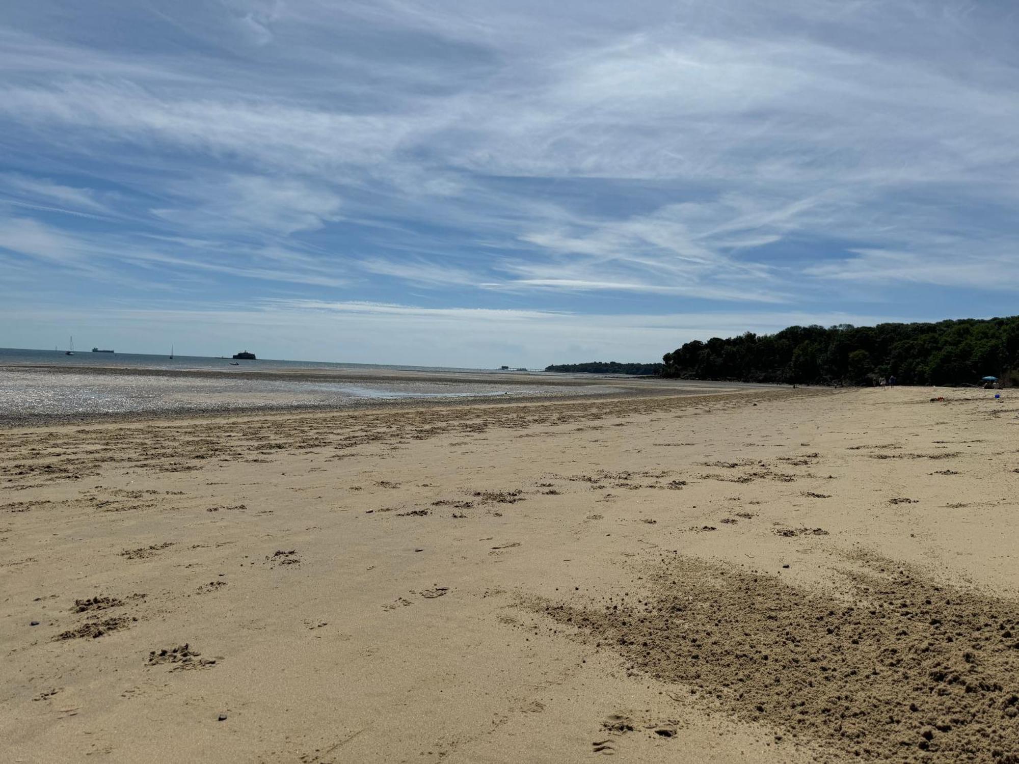 Trafalgar, Lovely Ground Floor Flat With Outside Patio Garden, Minutes Walk To Seafront Seaview Extérieur photo